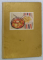 ROHKOST , OBSTSPEISEN , KALTSCHALEN , ( ALIMENTE CRUDE .. PLATOURI RECI  ) , TEXT IN LIMBA GERMANA , 328 REZEPTE