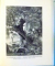 ROMANS ET CONTES par VOLTAIRE , 1954