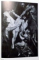 RUBENS` PAINTINGS IN THE HERMITAGE MUSEUM by M. VARSHAVSKAYA , 1975