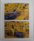 SANDY SKOGLUND by GERMANO CELANT , 2019