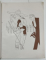 SCHITE de DON , 1916