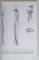 SCOALA DE DESEN ANATOMIC , UMAN , ANIMAL , ANATOMIE COMPARATA , desene de ANDRAS SZUNYOGHY si text de GYORGY FEHER , 2011 *MINIMA UZURA