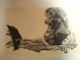 SCRIERI , cu 16 xilogravuri de ION STATE de ALEXANDRU SAHIA , 1964