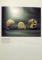SCYTHIAN ARTde BORIS PIOTROVSKY , 1986