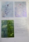 SEDIMENTUL URINAR de VICTOR DUMITRASCU...CORINA FLANGEA , 2007