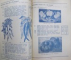 Seminteria Fratii Nic. & Th. Petroff, Depozit zarzavat si cereale Catalog 1940