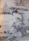 SHUNGA , IMAGES DU PRINTEMPS , ESSAI SUR LES REPRESENTATIONS EROTIQUES DANS L'ART JAPONAIS par CHARLES GROSBOIS , 1965