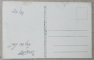 SINAIA , CASTELUL PELES , CARTE POSTALA , TIPARITA LA BERLIN , INCEPUTUL SEC. XX