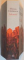 SOLENOID de MIRCEA CARTARESCU , 2015
