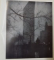STEICHEN THE PHOTOGRAPHER , 1961