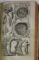 STEPH. BLANCARDI ANATOMIA REFORMATA SIVE CONCINNA CORPORIS HUMANI DISSECTIO , COLEGAT DE DOUA VOLUME,   LYON , 1687