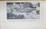 STIINTA CRESTERII CAILOR IN CONCEPTIA MODERNA de P. STAVRESCU - BUCURESTI, 1930