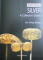 STRAITS CHINESE SILVER  -  A COLLECTOR ' S GUIDE by HO WING MENG , 2004