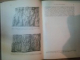 STUDIA THRACOLOGICA de RADU VULPE , 1976 *TEXT IN LIMBA FRANCEZA