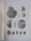 STUDII GEOLOGICE SI PALEONTOLOGICE DIN DOBROGEA. VOL VI: FAUNA AMONITILOR TRIASICI DE LA HAGIGHIOL / LES AMMONITES TRIASIQUES DE HAGIGHIOL (DOBROGEA) de IOAN SIMIONESCU, EDITIE BILINGVA ROMANA-FRANCEZA  1913