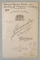 STUDIO ALEXANDRE , BRUXELLES , DUCESA ELONORE URSULA VON ARENBERG , FOTOGRAFIE CABINET , DATATA 1903
