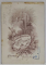 STUDIO FOTO  DIN AKKERMAN , CUPLU IN STUDIO , FOTOGRAFIE CABINET , CCA. 1900