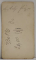 STUDIO SIMONY , PESTA , DOMN PE FOTOLIU , FOTOGRAFIE C.D.V. , CCA. 1900