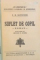 SUFLET DE COPIL de F.M. DOSTOEWSKY, NR. 265-267