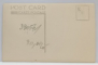 TARG RUSESC , tablou de I. KLEIN , PINACOTECA MUNICIPIULUI BUCURESTI ,  REPRODUCERE PE CARTE POSTALA