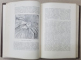 TERRA, INTRODUCERE IN GEOGRAFIE CA STIINTA de SIMION MEHEDINTI, 2 VOLUME
