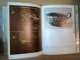 THE ART OF CRETE AND EARLY GREECE de FRIEDRICH MATZ , 1962