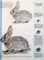THE ART OF DRAWING ANIMALS , 2008