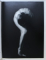 THE BODY  - THE FINEST COLLECTION OF AESTHETIC NUDE ART PHOTOGRAPHY by SANDRA and JON VAN GILS , EDITIE IN ENGLEZA - GERMANA ,  2004