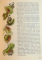 THE BOOK OF AUSTRIA  by ERNST MARBOE , 1969