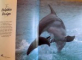 THE BOOK OF DOLPHINS 1988