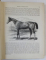 THE BOOK OF THE HORSE by S. SYDNEY , 1898