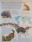 THE BURROW BOOK, TUNNEL INTO A WORLD OF WILDLIFE, ILLUSTRATED BY RICHARD ORR, 1997