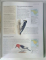 THE COMPLETE ILLUSTRATED ENCYCLOPEDIA OF BIRDS OF THE WORLD by DAVID ALDERTON, ilustrated by PETER BARRETT, 2004