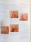 THE COMPLETE ILLUSTRATED GUIDE TO BEADING AND MAKING JEWELLERY, 2007