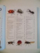 THE COMPLETE ILLUSTRATED WORLD ENCYCLOPEDIA OF INSECTS