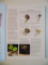 THE COMPLETE ILLUSTRATED WORLD ENCYCLOPEDIA OF INSECTS