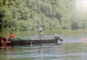 THE DANUBE DELTA by ELISABETA DOBRISAN , 2008
