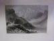 THE DANUBE . ITS HISTORY, SCENERY, AND TOPOGRQPHY de WILLIAM BEATTIE