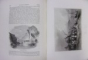 THE DANUBE . ITS HISTORY, SCENERY, AND TOPOGRQPHY de WILLIAM BEATTIE
