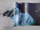 THE EARTH , ALBUM GEOGRAFIC