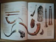 THE ILLUSTRATED ENCICLOPEDIA OF MUSICAL INSTRUMENTS , 2006