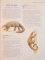 THE ILLUSTRATED ENCYCLOPEDIA OF ANIMALS , CONSULTANT EDITOR DR. PHILIP WHITFIELD , 1984