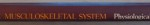 THE MUSCULOSKELETAL SYSTEM, PHYSIOLOGICAL BASICS de JAMES GIBSON GAMBLE, 1988