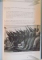 THE NAZIS AND THE OCCULT, THE DARK FORCES UNLEASHED BY THE THIRD REICH de PAUL ROLAND, 2007