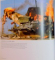 THE STATE OF THE WORLD WITH 537 COLOUR ILLUSTRATIONS , 2006