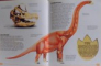 THE ULTIMATE BOOK OF DINOSAURS ,  2005