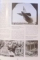 THE ULTIMATE ILLUSTRATED HISTORY OF THE FIRST & SECOND WORLD WAR , 2010