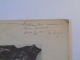 TINUTUL HALMAGIULUI. ASPECTE ECONOMICE. PARTEA I de TRAIAN MAGER  1928