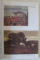 TRADITIE SI MODERNITATE IN PICTURA ROMANEASCA de GEORGETA DJORDJEVIC , 2009 , TEXT IN ROMANA , FRANCEZA , ENGLEZA