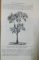 TRAITE DE BOTANIQUE MEDICALE , PHANEROGAMIQUE par H. BAILLON , 1884